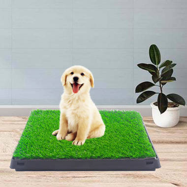 Artificial grass hot sale potty training